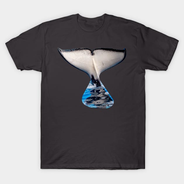 Orca Tail flute T-Shirt by dalyndigaital2@gmail.com